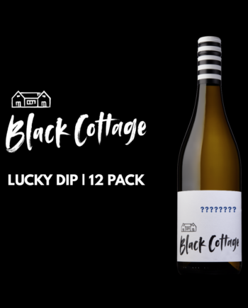 LUCKY DIP CASE  |  12 mixed bottle case
